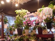 「ラインフラワー」　（岐阜県可児市）の花屋店舗写真4